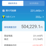 わたしの日本株ポートフォリオ（2021.6.11）